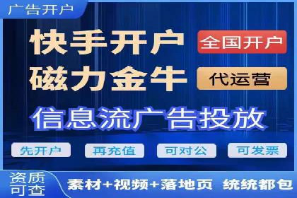 SEM专员案例：数据分析与优化